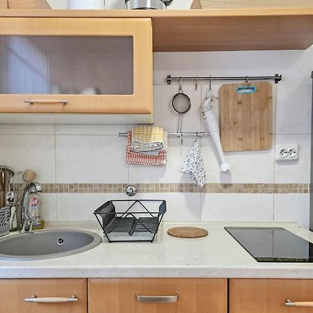 Apartments Maria Novigrad  Zewnętrze zdjęcie
