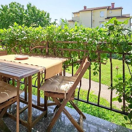 Apartments Maria Novigrad  Zewnętrze zdjęcie