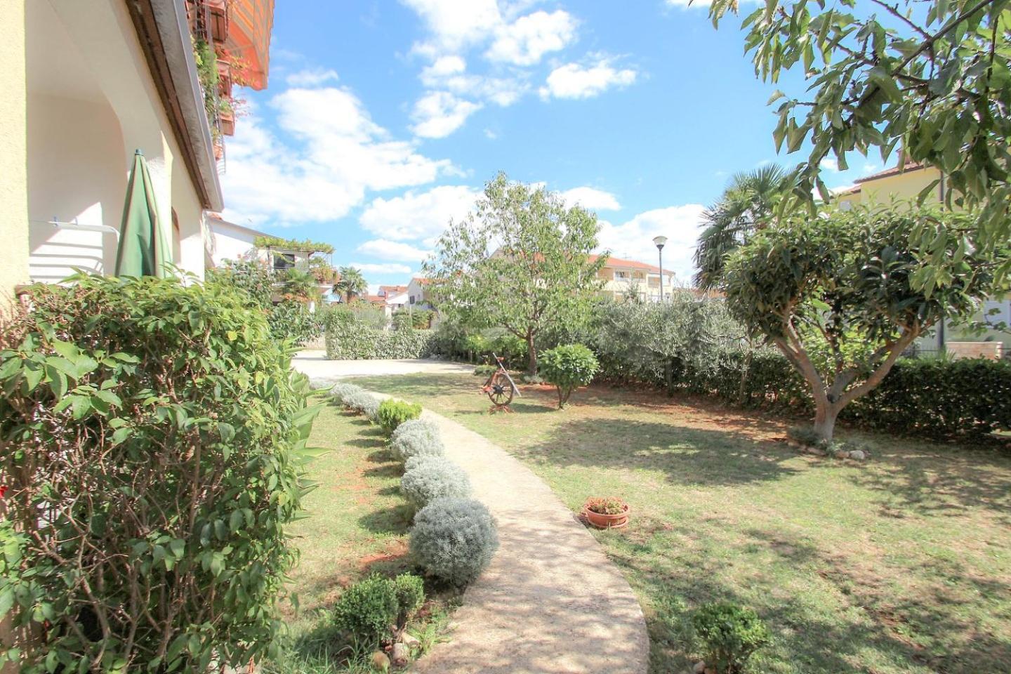 Apartments Maria Novigrad  Zewnętrze zdjęcie