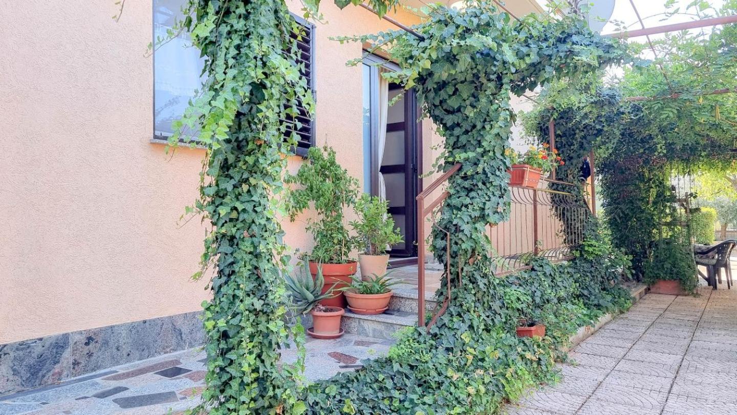 Apartments Maria Novigrad  Zewnętrze zdjęcie