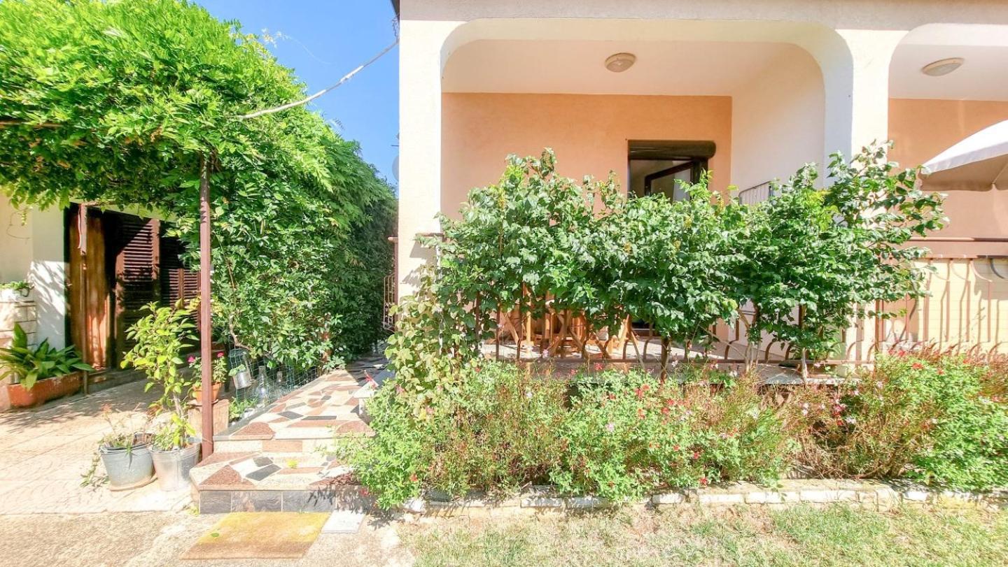 Apartments Maria Novigrad  Zewnętrze zdjęcie