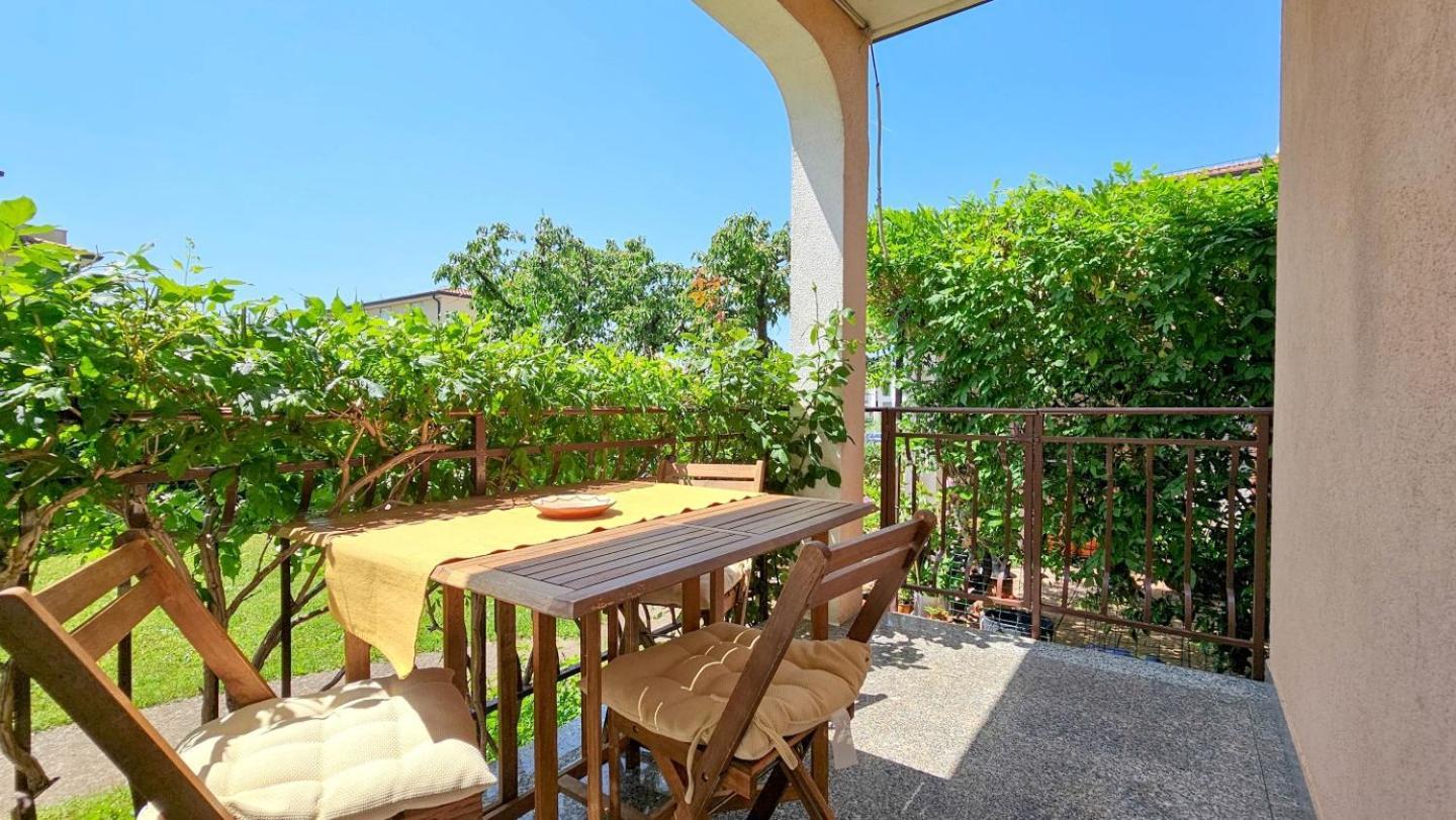 Apartments Maria Novigrad  Zewnętrze zdjęcie